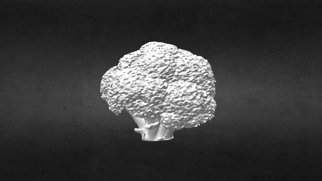 021/365_Broccoli