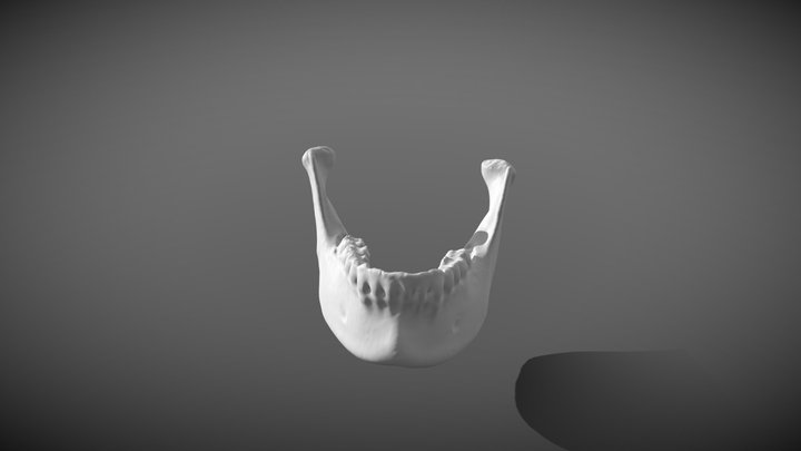 Mandibula (INCISIX) 3D Model