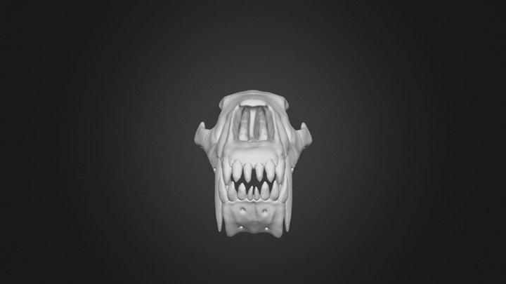 Homotherium sp. 3D Model