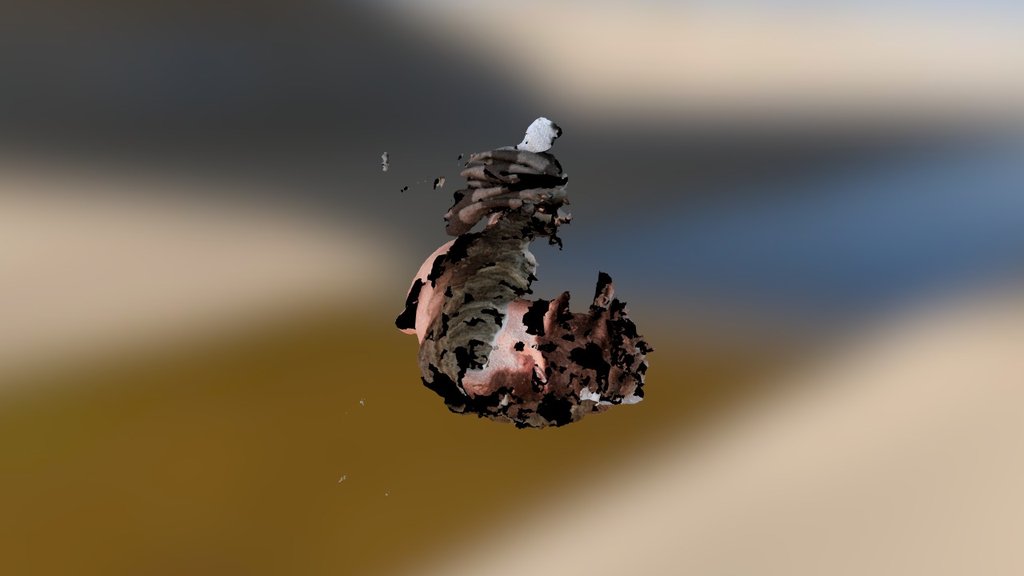 random - 3D model by der_erdmann [4129bac] - Sketchfab