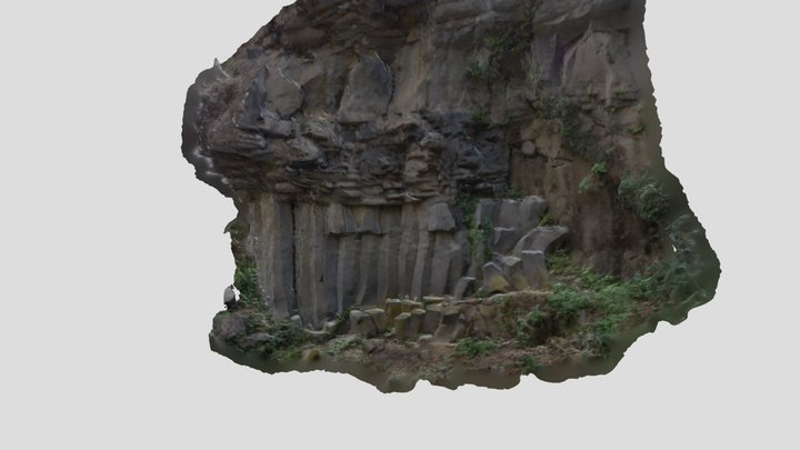 Disyunción columnar en Boscarro Sud 3D Model