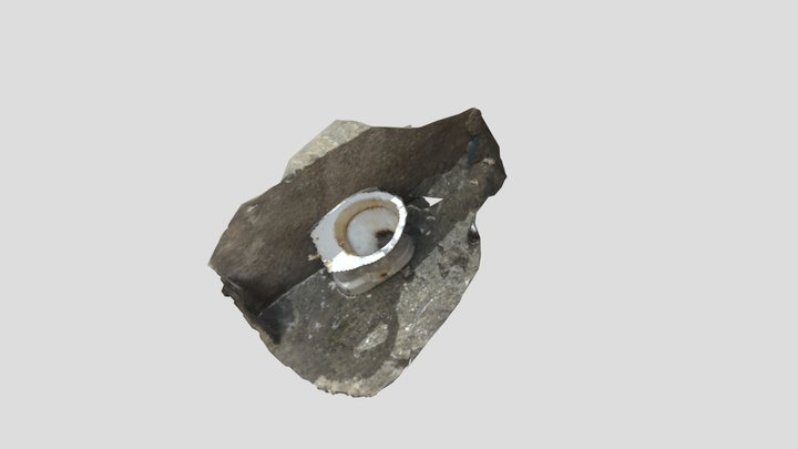 klozet 3D Model