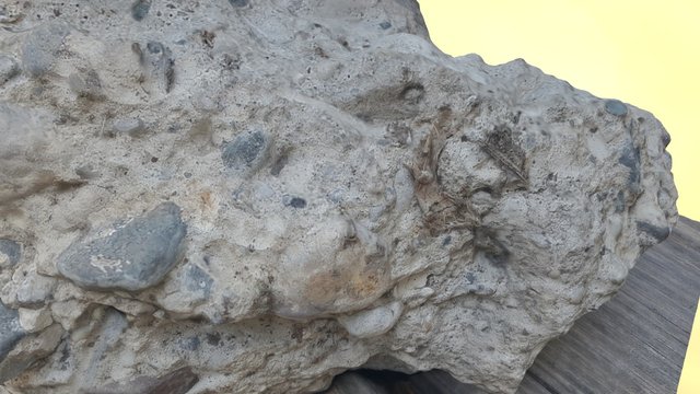 My first model for photogrammetry lab group. 3D Model