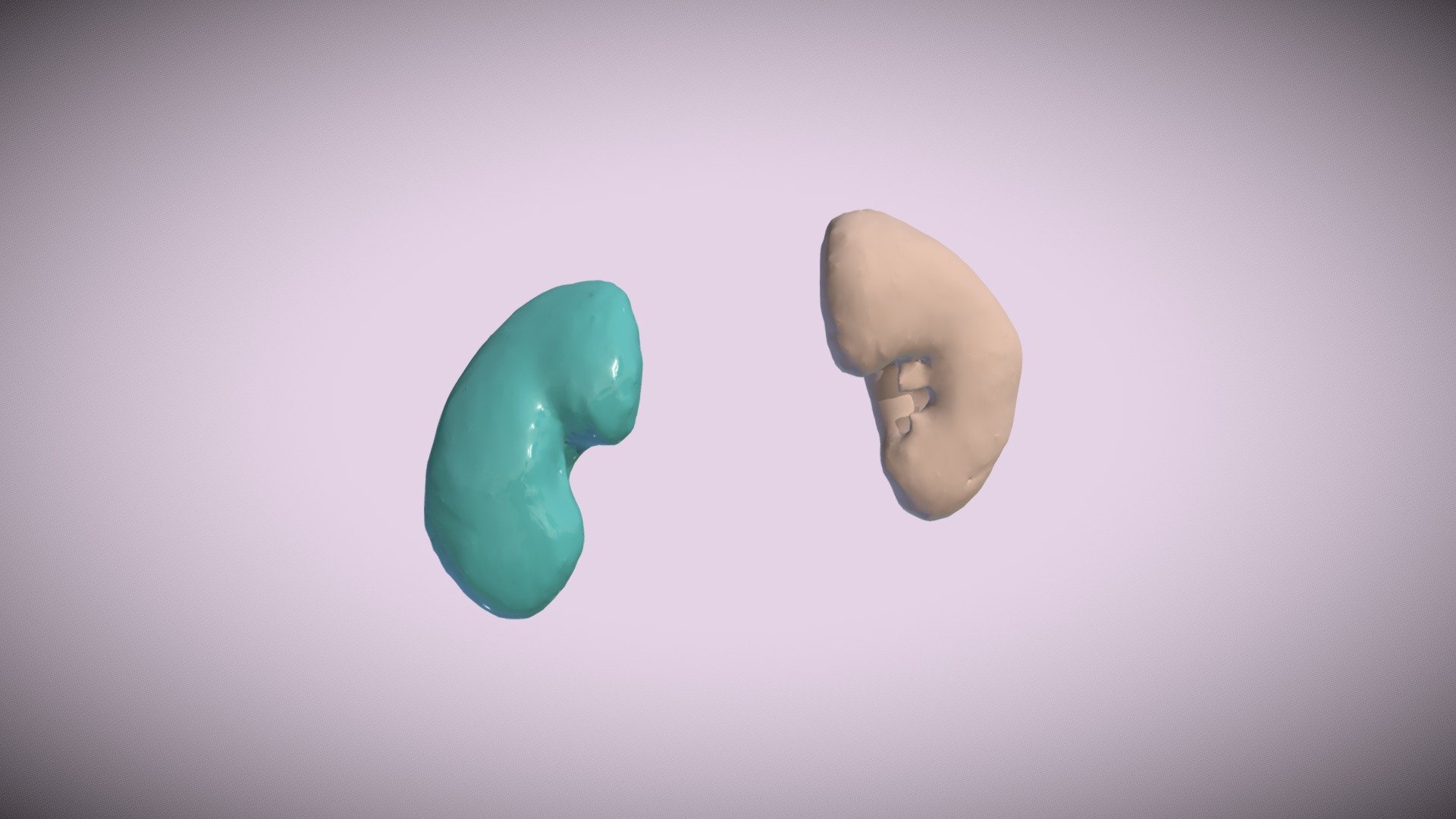 CTA Cardio Segmentations -- Kidney Pair