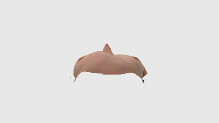 Clare ravitch 3D Model