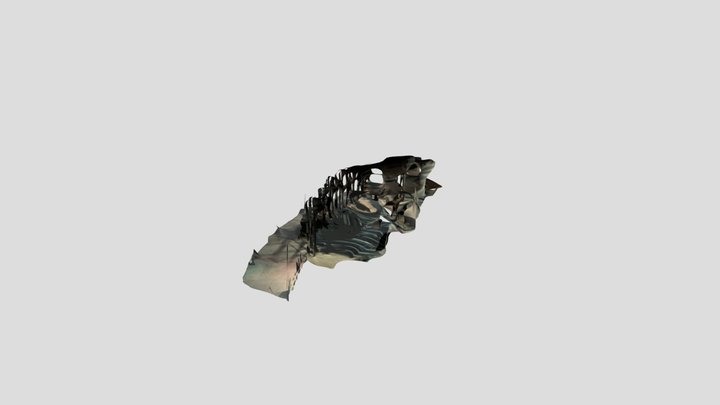 Dp2 3D Model