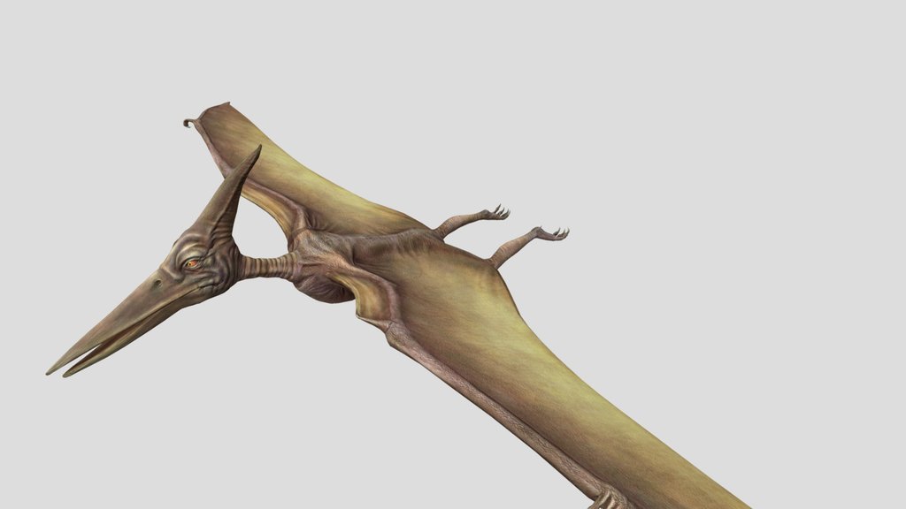Flying Pterodactyl