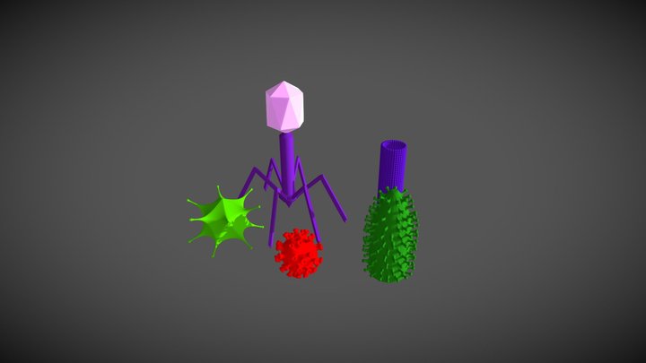 viruses 3D Model