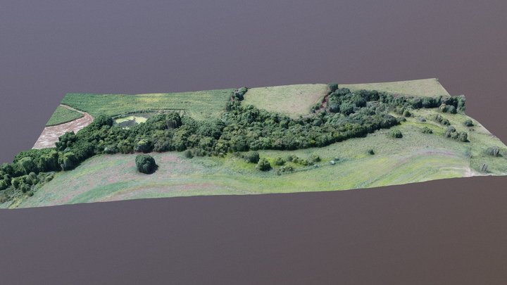 Área de Preservação Permanente, Jaú, SP, Brasil 3D Model