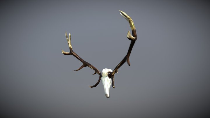 Low Poly Antlers 3D Model
