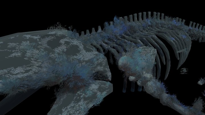 mh-skeleton 3D Model
