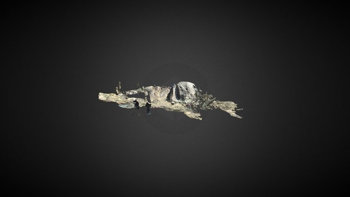 La silla del astrónomo 3D Model