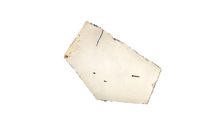 Dead skin sell_110 3D Model