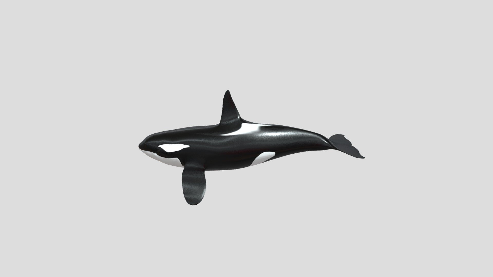 Orca (Credit:Animation by GRIP420) - 3D model by wrpsict [41513bb ...