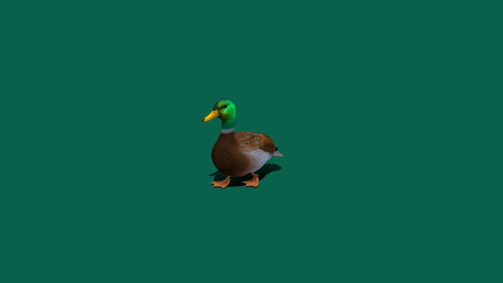 Duck_Walk (Free) 3D Model