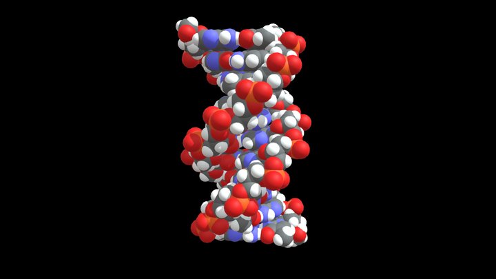 DNA-vdW 3D Model