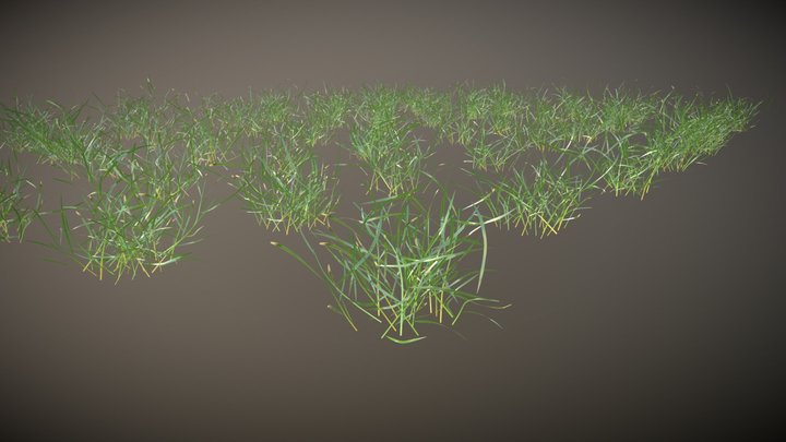 Green Grass Clumps 3D Model