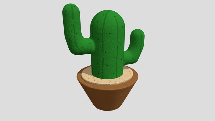 Cactus Boi 3D Model