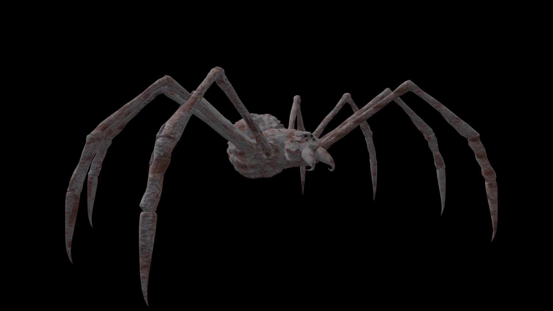 Mutated Spider - Download Free 3D Model By ItsGamertor [415fdf9 ...