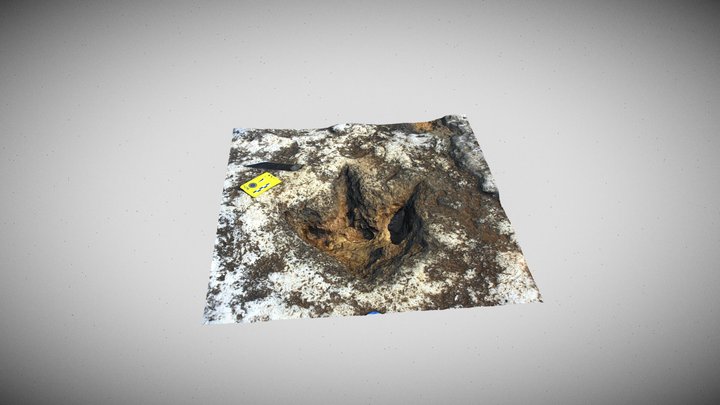 Dinosaur footprint 3D Model