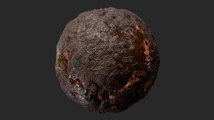 Muddy Forest Ground 3D Model