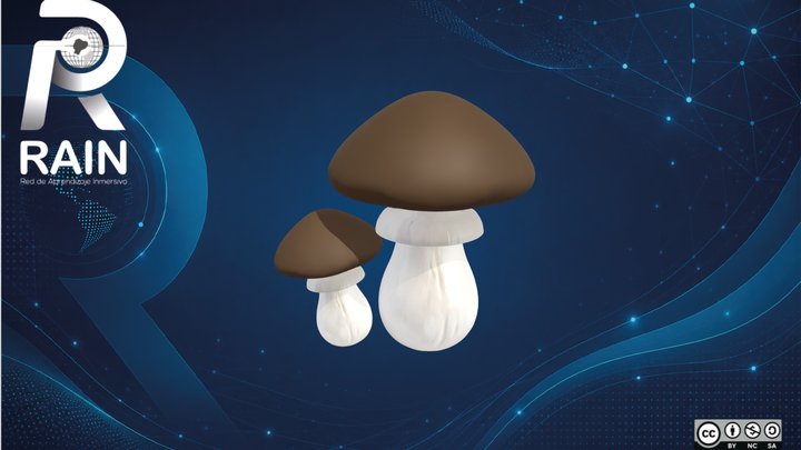 Morel (Morchella Spp.) – Free 3D Model STL