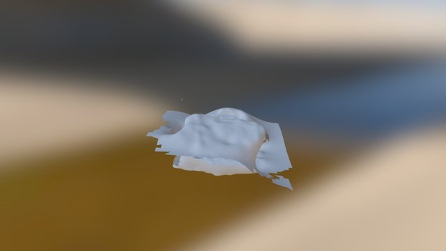 Model 3D Model