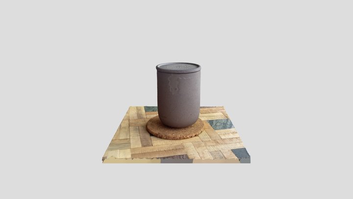 Scan 2023-03-12T17:02:45.791Z 3D Model