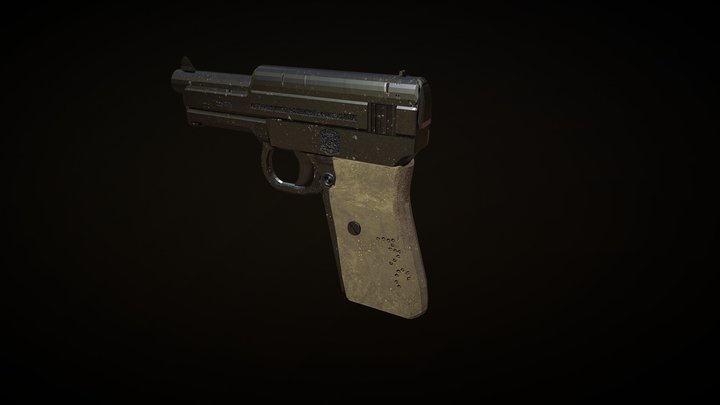 GunModelForCollege 3D Model
