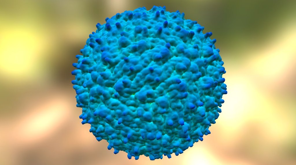 EMD-5520 - 3D model by Interactive 3D Data (@proteinsimulation ...