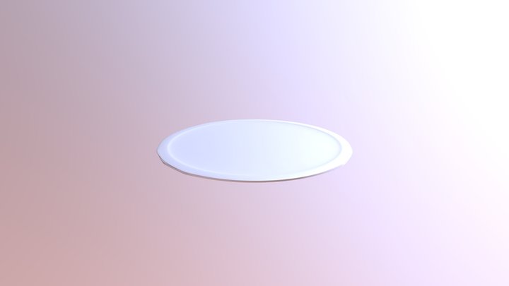 Plate 3D Model