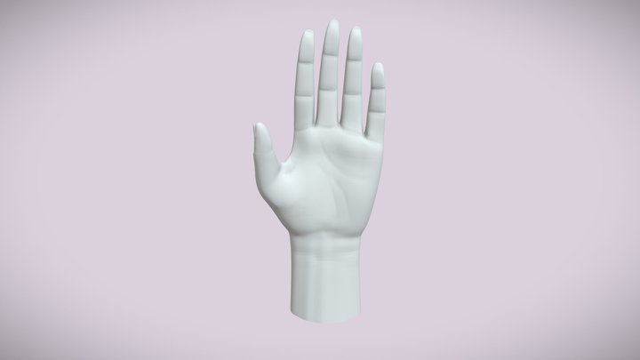 Realistic Hand (sculpted) 3D Model