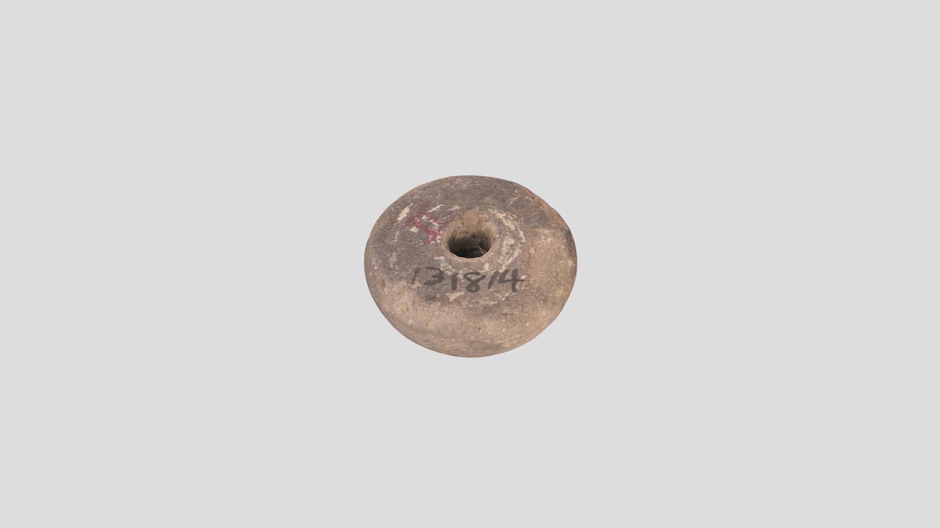 YPM ANT.131814