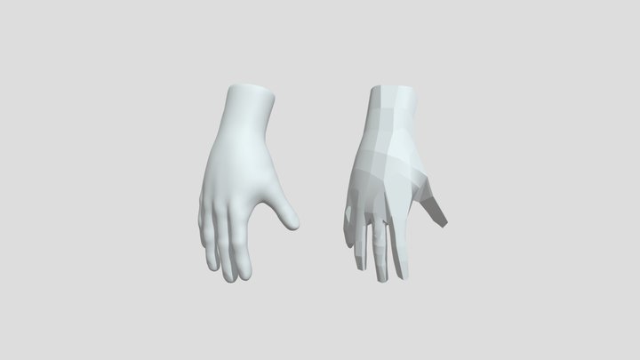 Hand 3D Model