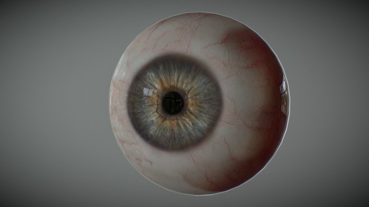 Realistic Human Eye 3D Model