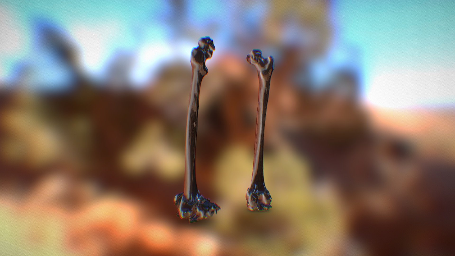 Femur
