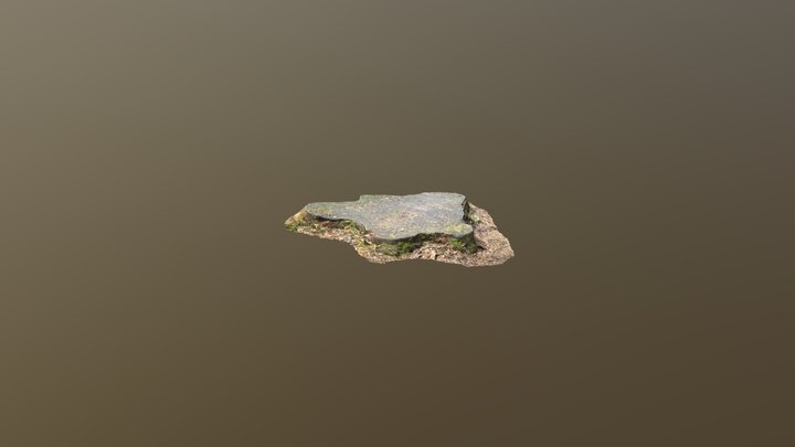 Tree Stump Ireland Photoscanned 3D Model