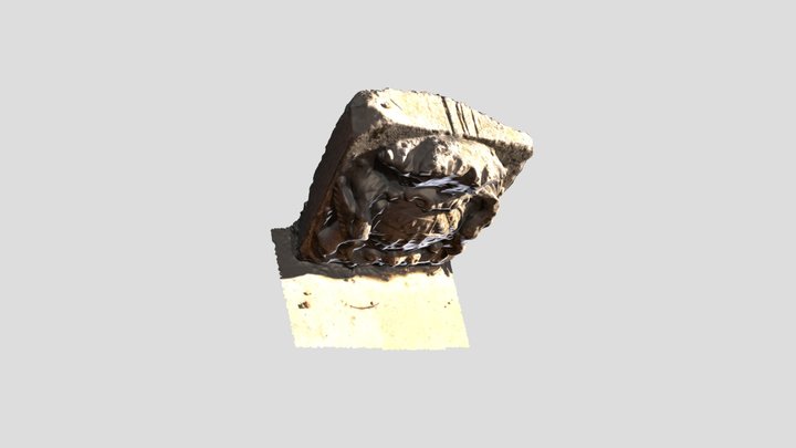 Escudo Heráldico 3D Model