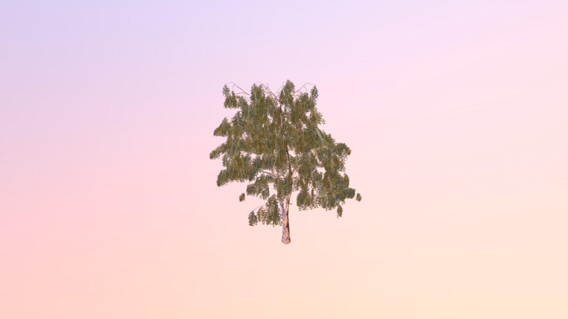 tree