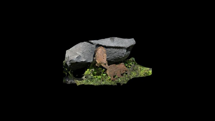 Zorrillo 3D Model