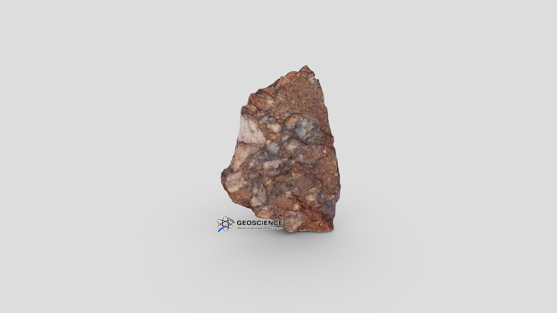 Meta-conglomerate