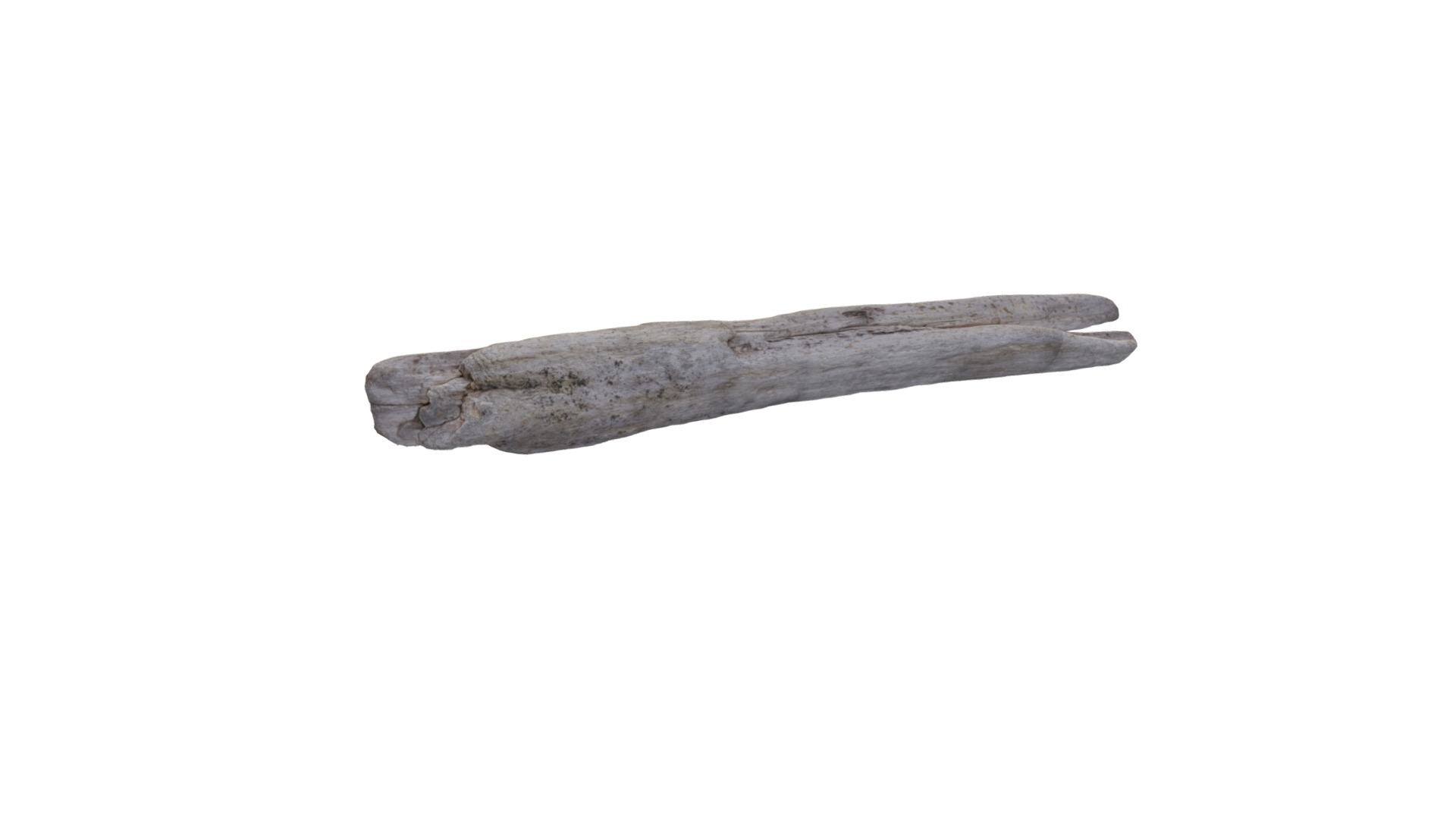 3D model Woodchuck - This is a 3D model of the Woodchuck. The 3D model is about a long wooden spoon.