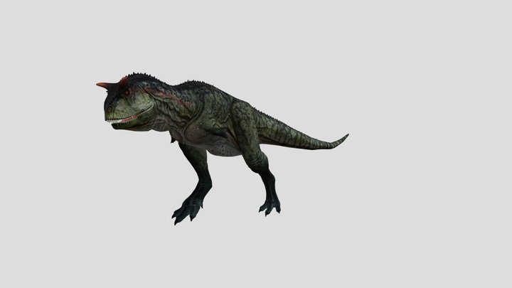 Carnotaurus +  Anim 3D Model