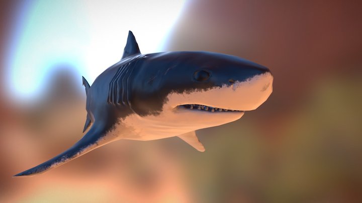 Shark Animated Game-ready 3D Model