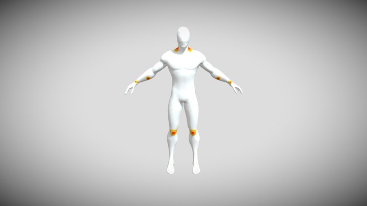 HUMAN 3D Model