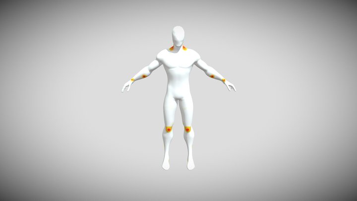 HUMAN 3D Model