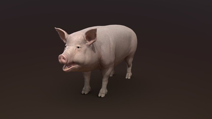 Pig V3 3D Model