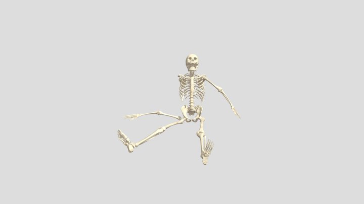 SITTING SKELETON 3D Model