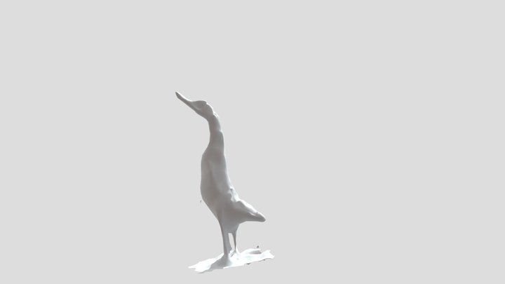 oca 3D Model