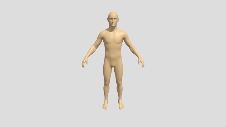 Male Body Reference – Modèle 3D gratuit STL